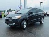 Used 2013 Ford Escape Titanium image 4