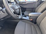 Used 2023 Ford Escape Active image 5