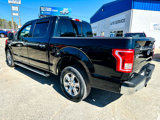 Used 2016 Ford F150 XLT w/ Equipment Group 302A Luxury image 3
