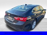 Certified 2024 Chevrolet Malibu LT image 3