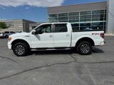 Used 2010 Ford F150 FX4 image 3