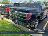 Used 2013 Ford F150 King Ranch w/ King Ranch Luxury Pkg image 4
