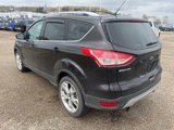 Used 2013 Ford Escape Titanium image 5