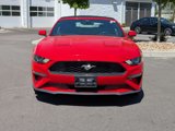 Used 2022 Ford Mustang Premium image 4