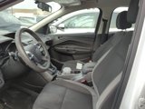 Used 2014 Ford Escape S image 6