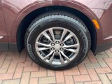 Used 2022 Cadillac XT5 Premium Luxury w/ LPO, Floor Liner Package image 6