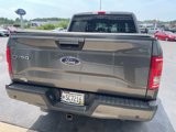 Used 2016 Ford F150 XLT w/ Equipment Group 302A Luxury image 5