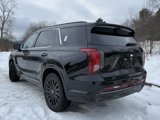 New 2025 Hyundai Palisade Calligraphy image 3