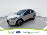 Used 2020 Ford Escape SE Sport image 5
