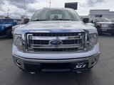 Used 2014 Ford F150 XLT w/ XLT Chrome Package image 2