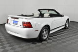 Used 2002 Ford Mustang Convertible image 6