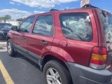 Used 2003 Ford Escape XLS image 2