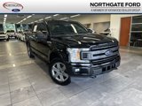 Certified 2019 Ford F150 XLT w/ Equipment Group 302A Luxury image 1