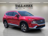 Used 2023 Hyundai Santa Fe SEL w/ Premium Package image 5