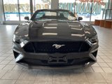 Used 2022 Ford Mustang GT Premium w/ Equipment Group 401A image 2