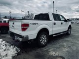 Used 2014 Ford F150 XLT w/ Equipment Group 302A Luxury image 4