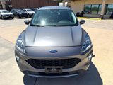 Used 2021 Ford Escape Titanium image 5