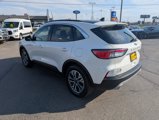 Used 2021 Ford Escape SEL image 6