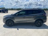 Used 2018 Ford Escape SE w/ SE Sport Appearance Package image 4