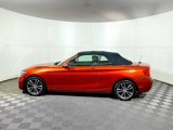 Used 2019 BMW 230i xDrive Convertible w/ Convenience Package image 4
