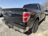 Used 2010 Ford F150 XLT image 5
