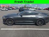 Used 2015 Ford Mustang Coupe w/ Equipment Group 051A image 4