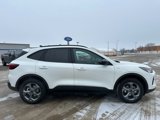 New 2025 Ford Escape ST-Line w/ Tech Pack #1 image 6
