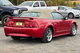 Used 2002 Ford Mustang GT image 4