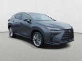 New 2025 Lexus NX 350 AWD w/ Accessory Package (2T) image 3