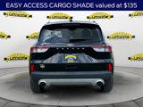 Certified 2022 Ford Escape SEL image 4