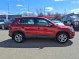 Used 2012 Volkswagen Tiguan S image 6