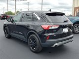 Used 2022 Ford Escape SE w/ Convenience Package image 4