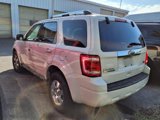 Used 2012 Ford Escape Limited image 4