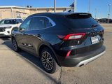 Certified 2023 Ford Escape SE w/ PHEV Premium Package image 4