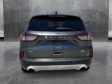 Used 2020 Ford Escape SEL image 4