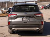 Used 2021 Ford Escape SEL image 5