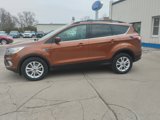 Used 2017 Ford Escape SE w/ Equipment Group 201A image 6