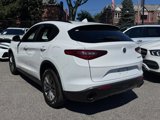 Used 2022 Alfa Romeo Stelvio Sprint image 6