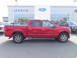 Used 2019 Ford F150 XLT w/ Equipment Group 302A Luxury image 4