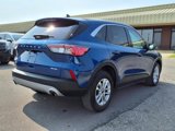Used 2022 Ford Escape SE w/ Convenience Package image 5
