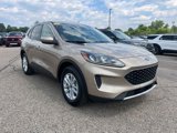 Certified 2020 Ford Escape SE image 3