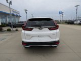 Used 2020 Honda CR-V EX-L image 5