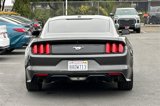 Used 2017 Ford Mustang Premium w/ Ecoboost Performance Package image 5