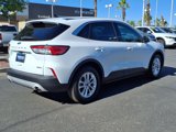 Used 2020 Ford Escape SE image 5