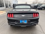 Used 2023 Ford Mustang Premium image 4