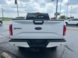 Used 2016 Ford F150 XLT w/ Equipment Group 302A Luxury image 4