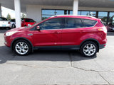 Used 2014 Ford Escape Titanium image 2