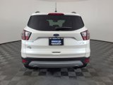 Used 2017 Ford Escape SE w/ SE Leather Comfort Package image 4