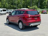 Used 2019 Ford Escape SEL image 5