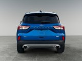 Used 2020 Ford Escape SEL image 6